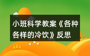 小班科學教案《各種各樣的冷飲》反思