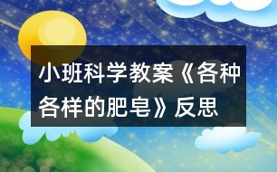 小班科學(xué)教案《各種各樣的肥皂》反思