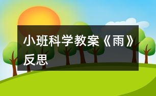 小班科學(xué)教案《雨》反思