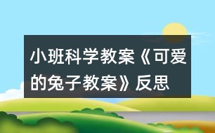 小班科學(xué)教案《可愛的兔子教案》反思