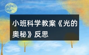 小班科學(xué)教案《光的奧秘》反思