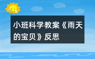 小班科學(xué)教案《雨天的寶貝》反思