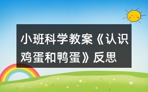 小班科學(xué)教案《認(rèn)識雞蛋和鴨蛋》反思