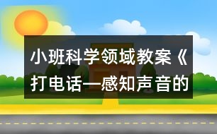 小班科學(xué)領(lǐng)域教案《打電話―感知聲音的傳遞》反思