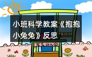 小班科學(xué)教案《抱抱小兔兔》反思