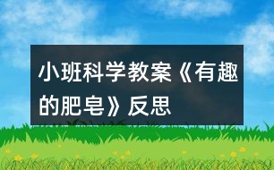 小班科學教案《有趣的肥皂》反思