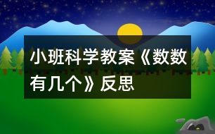 小班科學(xué)教案《數(shù)數(shù)有幾個(gè)》反思