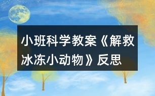 小班科學(xué)教案《解救冰凍小動(dòng)物》反思