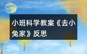 小班科學(xué)教案《去小兔家》反思