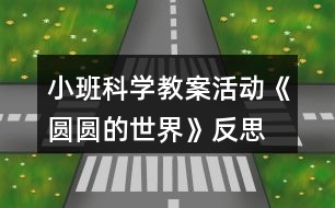 小班科學(xué)教案活動《圓圓的世界》反思