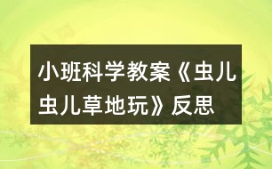 小班科學(xué)教案《蟲兒蟲兒草地玩》反思