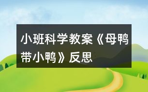 小班科學(xué)教案《母鴨帶小鴨》反思