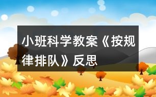 小班科學(xué)教案《按規(guī)律排隊》反思