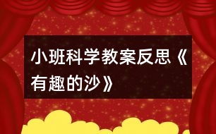 小班科學(xué)教案反思《有趣的沙》