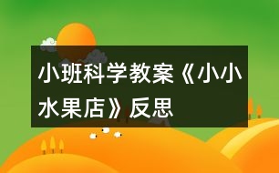 小班科學教案《小小水果店》反思