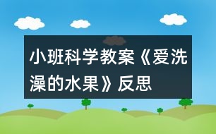 小班科學(xué)教案《愛(ài)洗澡的水果》反思