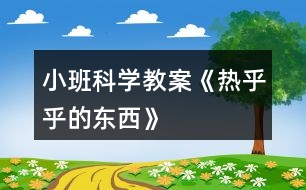 小班科學教案《熱乎乎的東西》