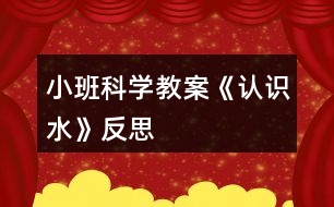 小班科學(xué)教案《認(rèn)識水》反思