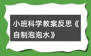 小班科學(xué)教案反思《自制泡泡水》