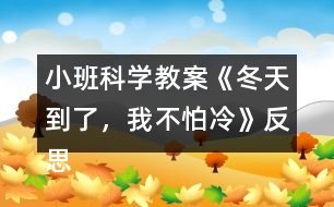 小班科學教案《冬天到了，我不怕冷》反思