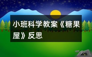 小班科學教案《糖果屋》反思