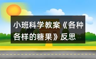 小班科學(xué)教案《各種各樣的糖果》反思