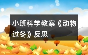 小班科學(xué)教案《動(dòng)物過(guò)冬》反思