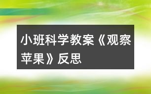 小班科學教案《觀察蘋果》反思