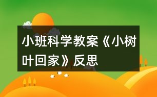 小班科學(xué)教案《小樹葉回家》反思