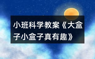 小班科學(xué)教案《大盒子、小盒子真有趣》反思