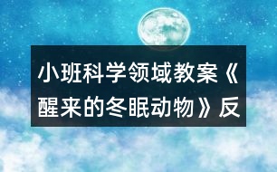 小班科學(xué)領(lǐng)域教案《醒來的冬眠動物》反思