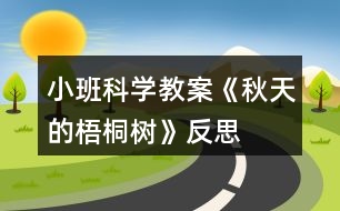 小班科學(xué)教案《秋天的梧桐樹》反思