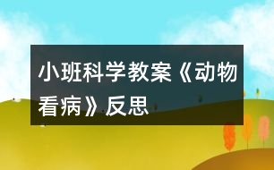 小班科學教案《動物看病》反思