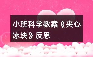 小班科學教案《夾心冰塊》反思