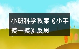 小班科學(xué)教案《小手摸一摸》反思