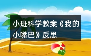小班科學教案《我的小嘴巴》反思