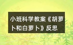 小班科學(xué)教案《胡蘿卜和白蘿卜》反思