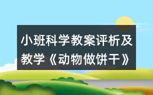 小班科學教案評析及教學《動物做餅干》反思