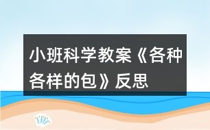 小班科學教案《各種各樣的包》反思