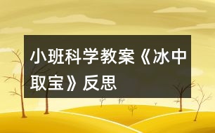 小班科學(xué)教案《冰中取寶》反思