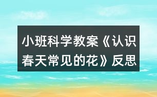 小班科學(xué)教案《認識春天常見的花》反思