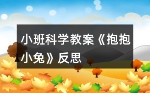 小班科學(xué)教案《抱抱小兔》反思