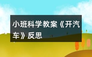 小班科學教案《開汽車》反思