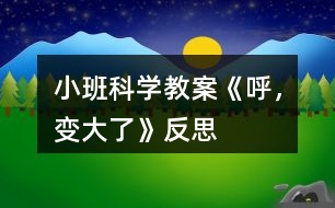 小班科學(xué)教案《呼，變大了》反思