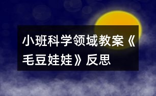 小班科學(xué)領(lǐng)域教案《毛豆娃娃》反思