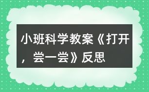 小班科學(xué)教案《打開，嘗一嘗》反思