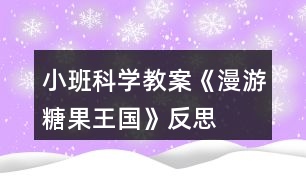 小班科學(xué)教案《漫游糖果王國(guó)》反思