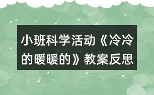 小班科學活動《冷冷的暖暖的》教案反思