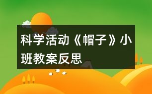 科學活動《帽子》小班教案反思