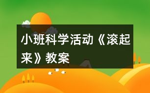 小班科學(xué)活動《滾起來》教案